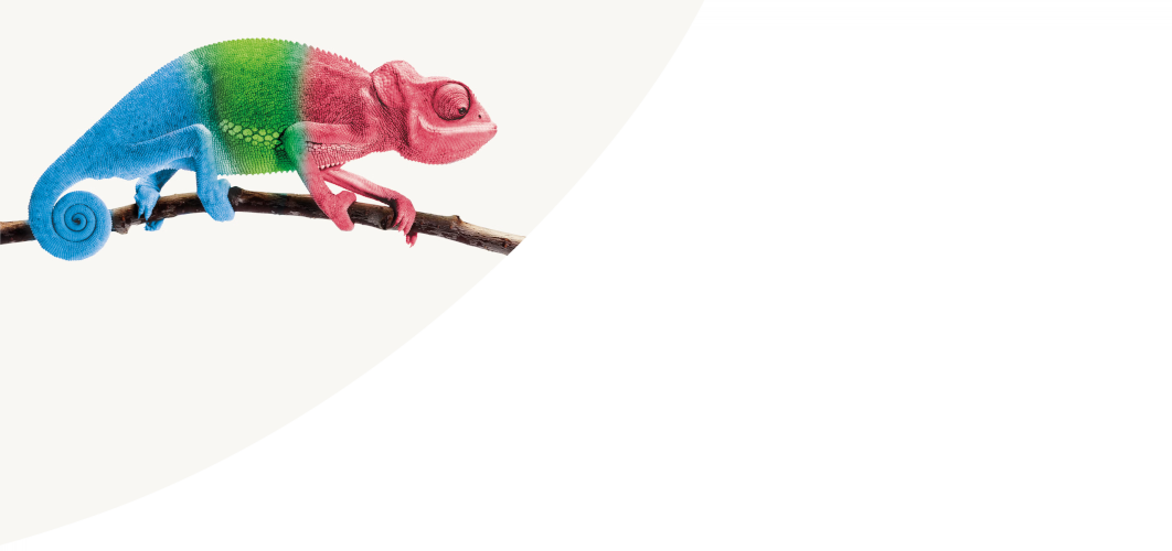 chameleon_Hero_1062x500-UK.png