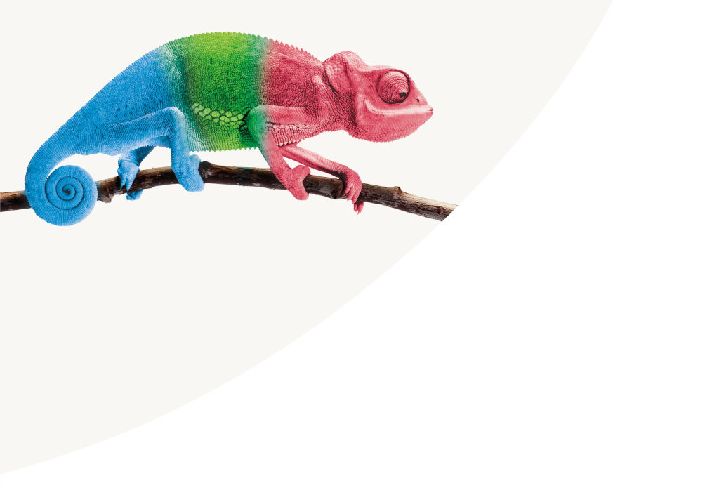 chameleon_mobile_1024x695-UK.png
